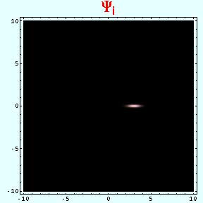 Initial wave function