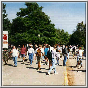 OU campus: Physics Dept. and South Oval Andrews Park 10/6/96