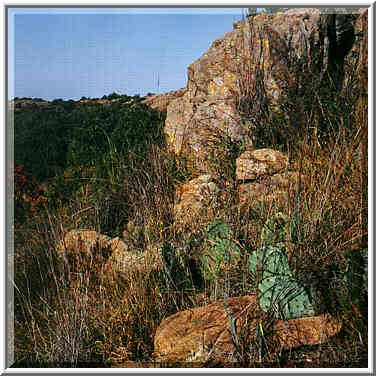 trip to Wichita Mountains with OU Timberline Explorers club 10/26/96