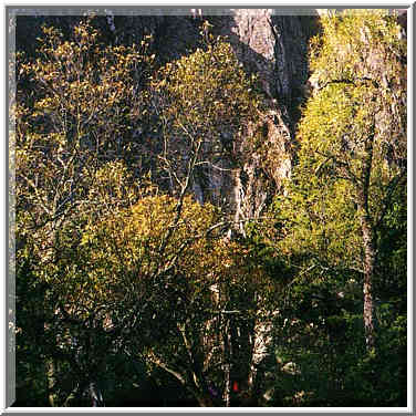 trip to Wichita Mountains with OU Timberline Explorers club 10/26/96