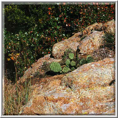 trip to Wichita Mountains with OU Timberline Explorers club 10/26/96