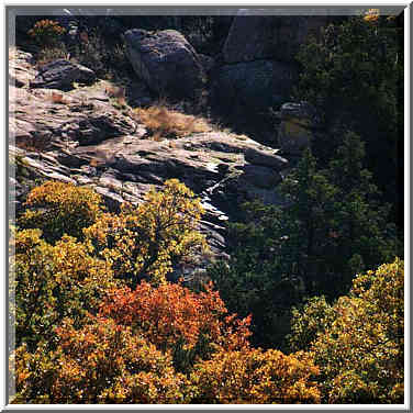 trip to Wichita Mountains with OU Timberline Explorers club 10/26/96