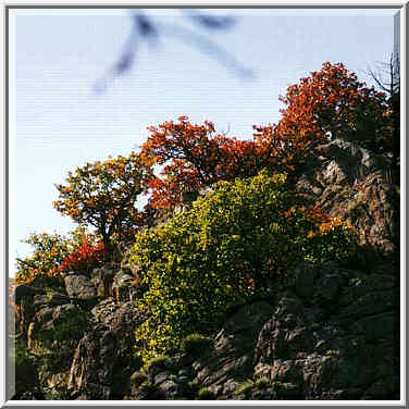 trip to Wichita Mountains with OU Timberline Explorers club 10/26/96