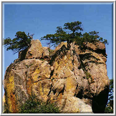 trip to Wichita Mountains with OU Timberline Explorers club 10/26/96