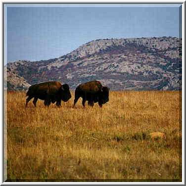 trip to Wichita Mountains with OU Timberline Explorers club 10/26/96