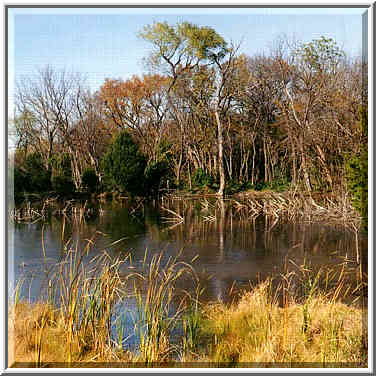 a lake in north Norman 11/9/96