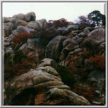 trip to Wichita Mountains with OU Timberline Explorers club Nov. 22, 23