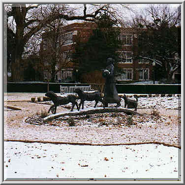 lawns in OU campus and Norman 12/17/96