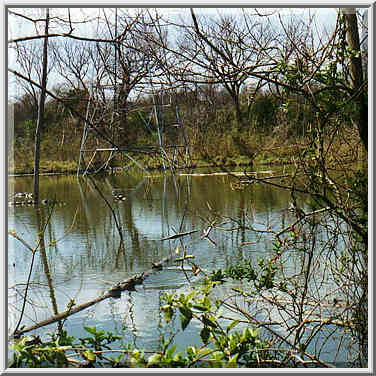 White Rock Lake