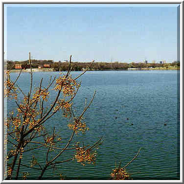 White Rock Lake