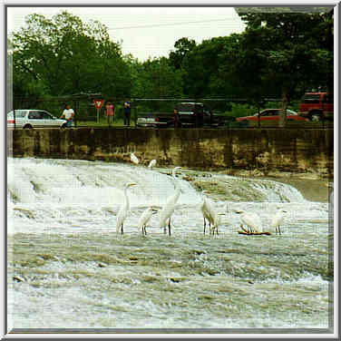 White Rock Lake