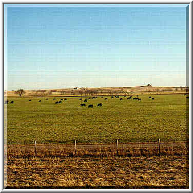 a trip to Wichita Mountains OK, 2/1/97