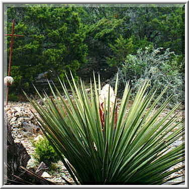 retreat in Mo Ranch, Texas Hill Country, March 15, 16