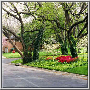 Westlake Dr. near White Rock Lake 3/30/97