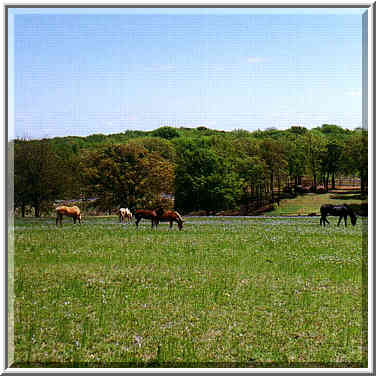 ranch party near Lewisville Lake 4/12/97