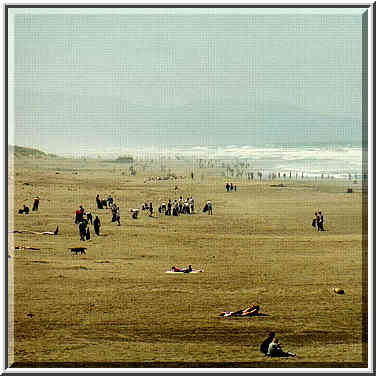 Sunday morning: Seal Rocks, ocean, Geary Blvd.