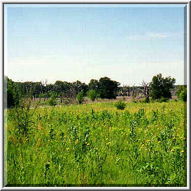 dayhike to Lake Ray Roberts with Dallas Sierra Club 5/31/97