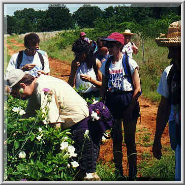 dayhike to Lake Ray Roberts with Dallas Sierra Club 5/31/97