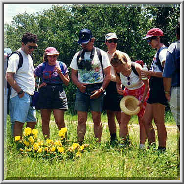 dayhike to Lake Ray Roberts with Dallas Sierra Club 5/31/97