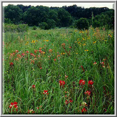 dayhike to Lake Ray Roberts with Dallas Sierra Club 5/31/97