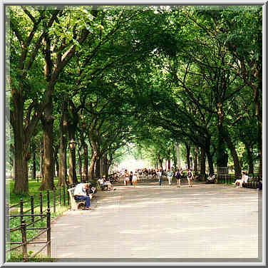 New York, Saturday June 21: Times Square, 5th Ave., Central Park, 8th Ave.