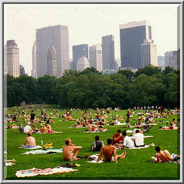 New York, Saturday June 21: Times Square, 5th Ave., Central Park, 8th Ave.