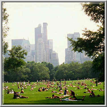 New York, Saturday June 21: Times Square, 5th Ave., Central Park, 8th Ave.