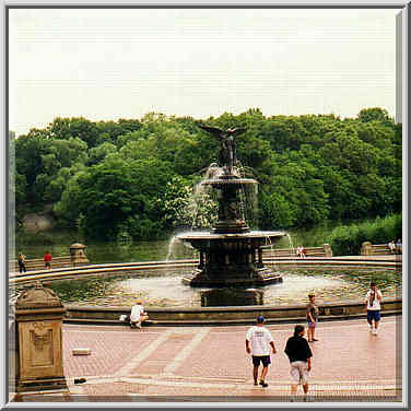 Central Park and Museum of Natural History