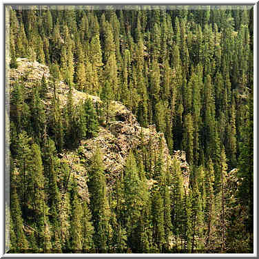 Pecos Wilderness in New Mexico 8/30/97