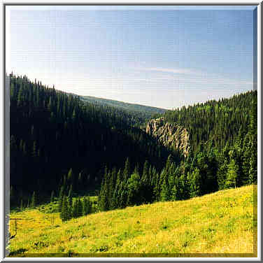 Pecos Wilderness, near Beatti Cabin, August 30, 31