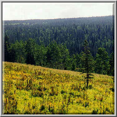 dayhike to Pecos Falls 8/31/97