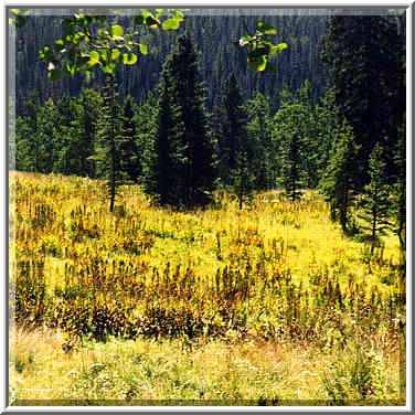 dayhike to Pecos Falls 8/31/97