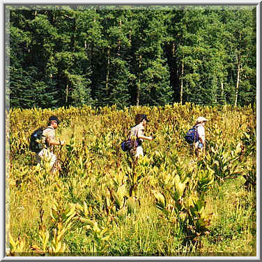 dayhike to Pecos Falls 8/31/97