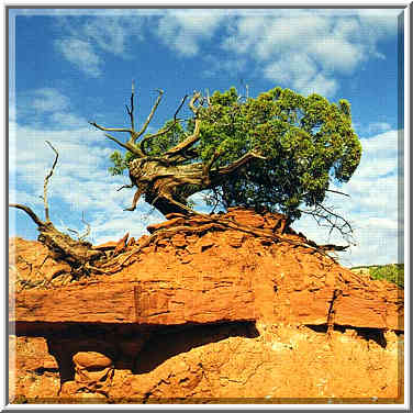 Caprock Canyons State Park 11/1/97 morning