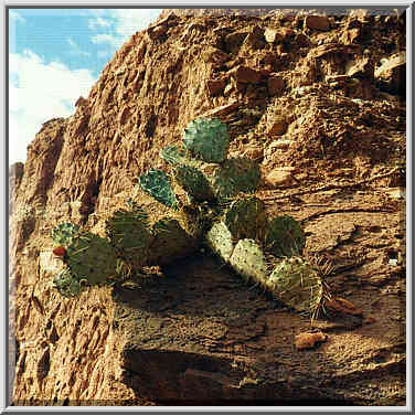 Caprock Canyons State Park 11/1/97 afternoon and evening