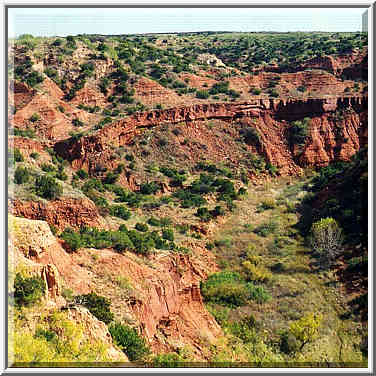 Caprock Canyons 11/2/97