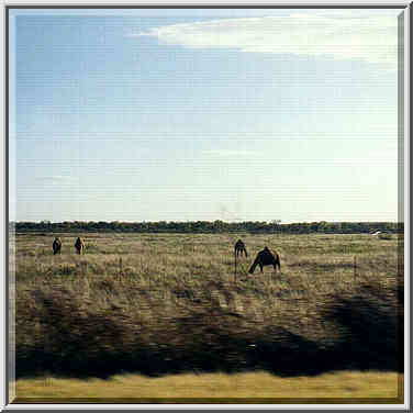 near Estelline, Texas