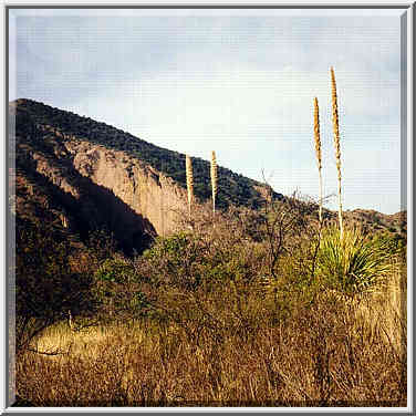 Pinnacles trail