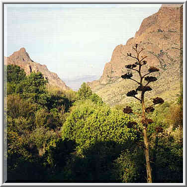 Pinnacles trail