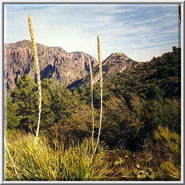 Pinnacles trail