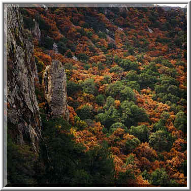 Pinnacles trail