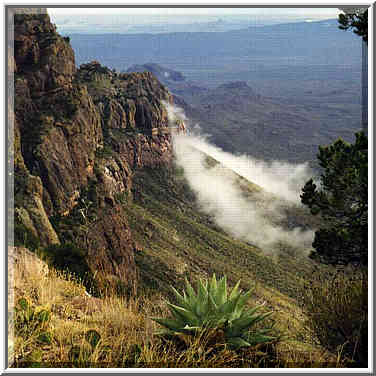 South Rim