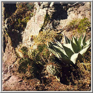 dayhike along South Rim