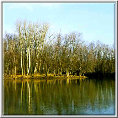 View of Wabash River (near confluence with ...[7 words]... Lafayette. Indiana, January 31, 1998.