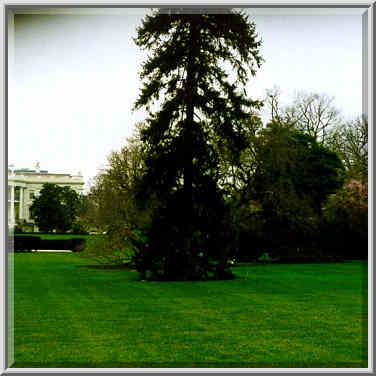 View of White House from the Ellipse. Washington DC, February 5, 1998.