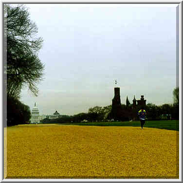 View of U. S. Capitol and Smithsonian Inst. from ...[6 words]... St. Washington DC, February 5, 1998.