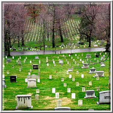 Graves of soldiers(?) at Arlington Cemetery. Washington DC, February 6, 1998.