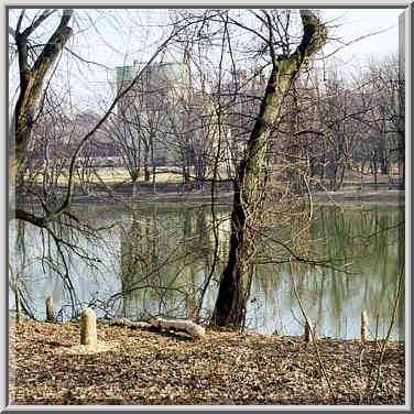 View of trees cut by beavers and industrial ...[16 words]... Lafayette, Indiana, February 8, 1998.