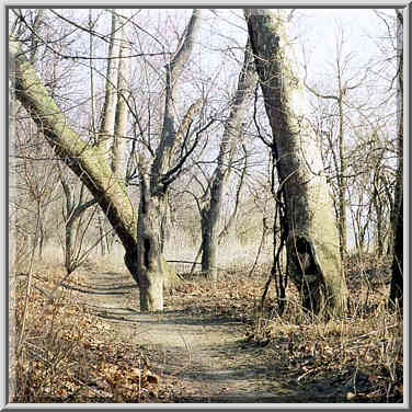 Heritage Trail along Wabash River between ...[3 words]... Ground, Indiana, February 22, 1998.