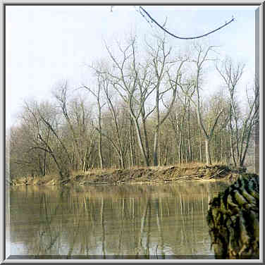 Heron Island on Wabash River between Lafayette ...[2 words]... Ground, Indiana, February 22, 1998.